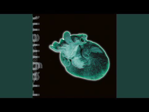 youtube - [Video]