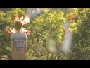 youtube - [Video]