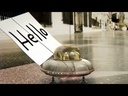 youtube - [Video]