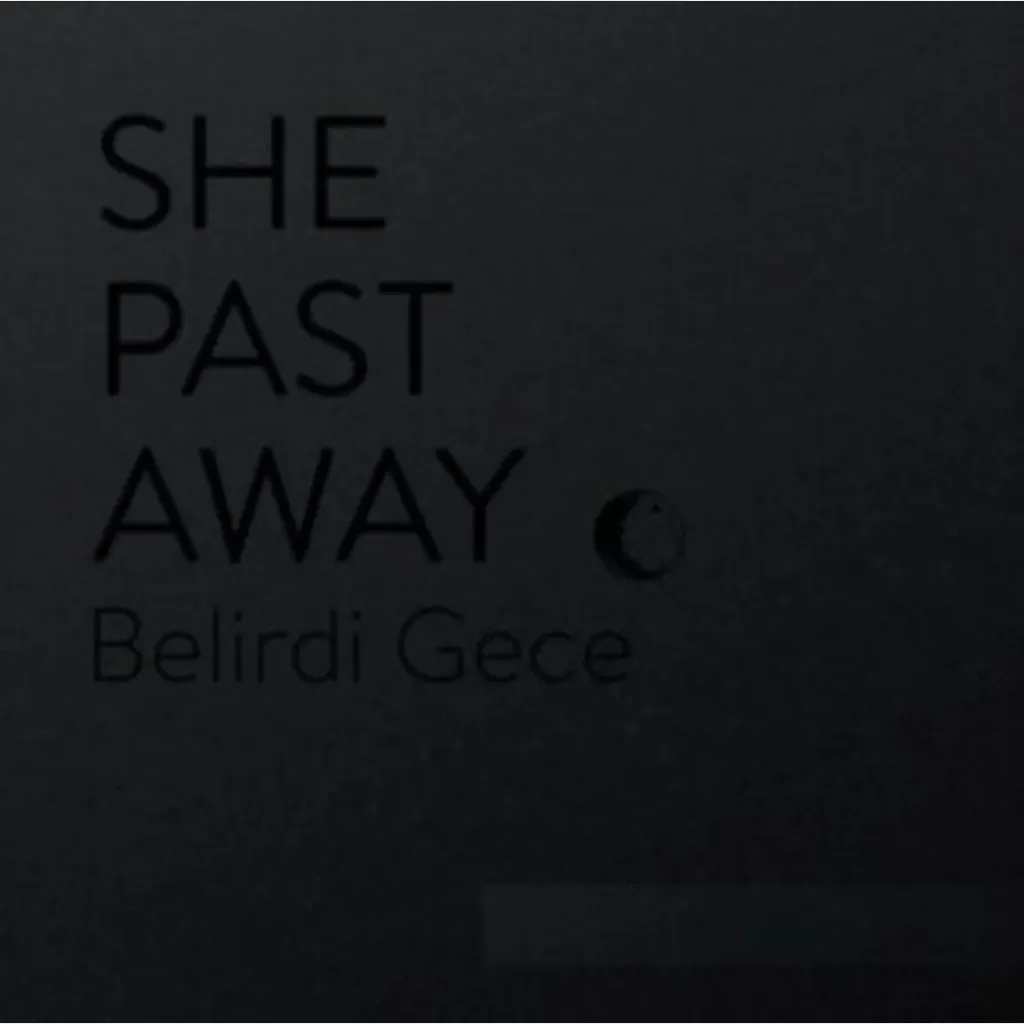 SHE PAST AWAY - Belidri Gece (LP)