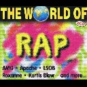 V/A THE WORLD OF RAP (2xCD)
