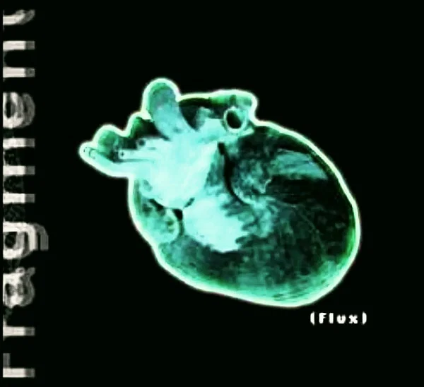 FRAGMENT - Flux (CD)