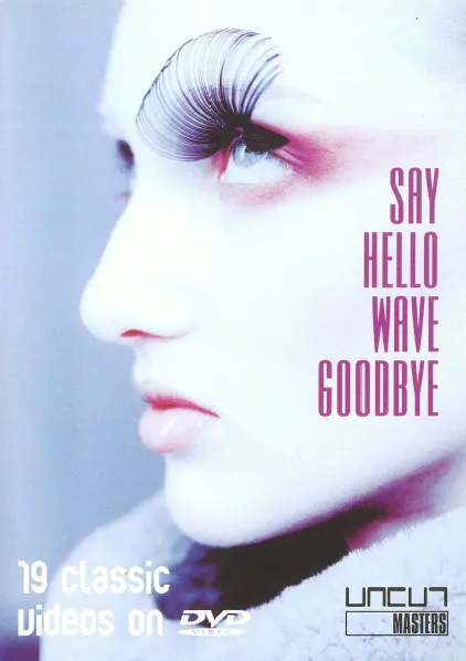 V/A SAY HALLO, WAVE GOODBYE (DVD)